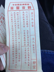 观音第十一签解签：预测未来、助你应对生活挑战-东山资源库