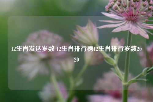 12生肖发达岁数及排行榜、年龄表查询全知道-东山资源库